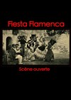 Fiesta Flamenca - 