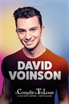 David Voinson - 