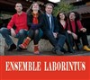 Sylvain Kassap Avec L'ensemble Laborintus - 