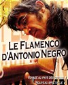 Antonio Negro - 