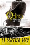 OdinO - 