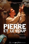 Pierre et le loup - 