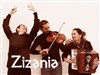 Zizania : Fusion flamenco - 