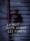 La Nuit juste avant les forêts - 