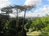 La Mouzaia et les Buttes Chaumont - 