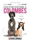 Coup de foudre à Colombes - 