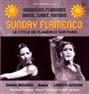 Sunday Flamenco - 