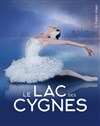 Le Lac des Cygnes - 