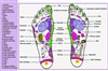 Initiation relaxation orientale et découverte de la réflexologie - 