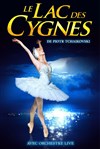 Le lac des cygnes - 