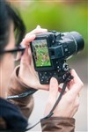 Cours photo : Sortez du mode Automatique ! | Marseille - Parc Valmer - 