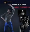 Aire Flamenco - 