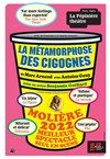 La métamorphose des cigognes - 