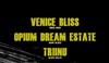 Opium Dream Estate + Venice Bliss | + 1ère partie : Triinu - 