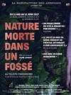 Nature morte dans un fossé - 