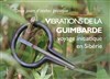 Vibrations de la guimbarde : voyage initiatique en Sibérie - 