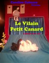 Le vilain petit canard - 