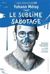 Yohann Métay dans Le sublime Sabotage - 