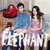 Eléphant - 