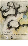 La patience des buffles sous la pluie - 