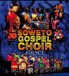 Soweto Gospel Choir - 