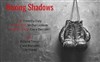 Boxing Shadows - 