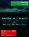 Autour de l'Adagio : le Quatuor Rosamonde joue Barber, Brahms et Wolf - 