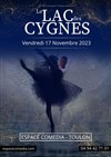 Le lac des Cygnes - 