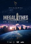 Mégalithes, un monde oublié - 