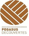 Visite guidée : de Lutèce à Paris | par Sandra, de l'association Pegasus Découvertes - 