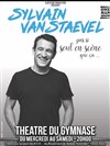 Sylvain Vanstaevel dans Seul(s) en scène - 