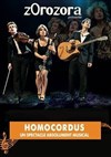 Zorozora | Homocordus - 