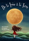 De la lune à la terre - 