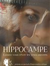 Hippocampe - 