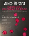 Pasolini en forme de rose - 