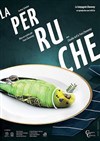 La perruche - 