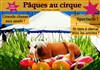 Pâques au cirque ! - 