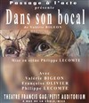 Dans son bocal - 