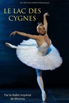 Le Lac des Cygnes - 