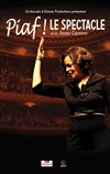 Piaf ! Le spectacle - 