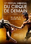 Festival mondial du cirque de demain - 