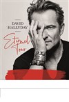 David Hallyday : Eternel tour - 