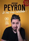 Antoine Peyron dans Je vais vous cartonner ! - 