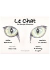 Le chat - 