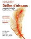 Drôles d'oiseaux - 