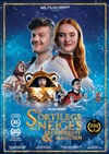 Le Sortilège des Neiges et l'Apprenti Magicien - 