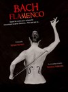 Bach Flamenco - 