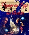 Voyage au pays des ballets - 