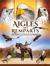 Les Aigles des Remparts - 