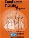 Pizzicatis | Ensemble de mandolines et guitares - 